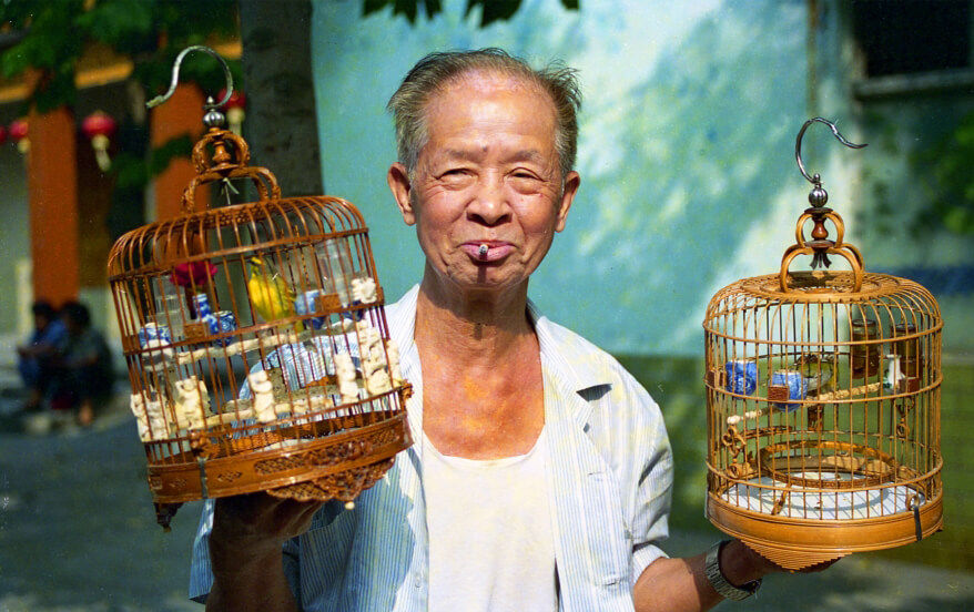 绿美东山 最美一角-我要投票-幸福晚年
