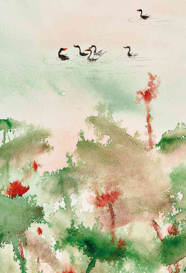 绿美东山 最美一角-我要投票-盈盈莲心曲 II
